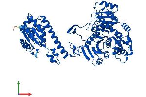 AlphaFold protein structure predicition of Human Recombinant ATIC Protein, UniprotID P31939