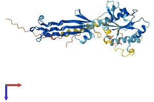 AlphaFold protein structure predicition of Human Recombinant GTPBP10 Protein, UniprotID A4D1E9