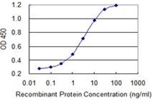 anti-Heat Shock Transcription Factor, Y Linked 2 (HSFY2) (AA 1-100) antibody