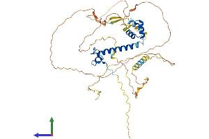 AlphaFold protein structure predicition of Mouse Recombinant Dmrt3 Protein, UniprotID Q80WT2
