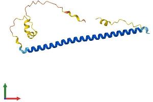AlphaFold protein structure predicition of Mouse Recombinant Jdp2 Protein, UniprotID P97875