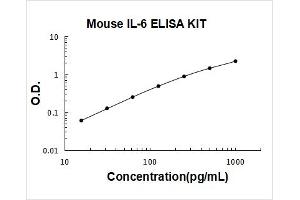 Interleukin 6 (IL6) ELISA Kit