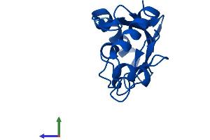 AlphaFold protein structure predicition of Human Recombinant UBE2D1 Protein, UniprotID P51668