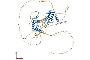 AlphaFold protein structure predicition of Human Recombinant NACC1 Protein, UniprotID Q96RE7