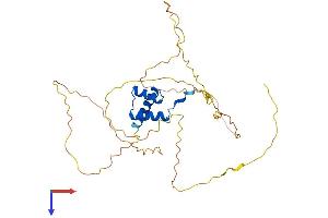 AlphaFold protein structure predicition of Human Recombinant DLX2 Protein, UniprotID Q07687