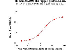 ELISA plate pre-coated by 1 μg/mL (100 μL/well) Human A protein, His Tag (ABIN6964219, ABIN7042673 and ABIN7042674) can bind Anti-A Neutralizing antibody ABIN7093080 and ABIN7272610 in a linear range of 0.