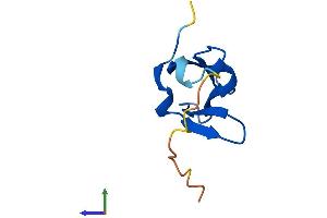 AlphaFold protein structure predicition of Human Recombinant DPH3 Protein, UniprotID Q96FX2