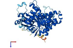 AlphaFold protein structure predicition of Human Recombinant TUBB2A Protein, UniprotID Q13885