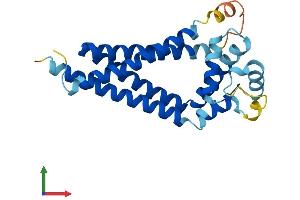 AlphaFold protein structure predicition of Mouse Recombinant Cd81 Protein, UniprotID P35762