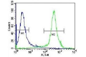 CAD antibody flow cytometric analysis of Jurkat cells (green) compared to a negative control (blue).