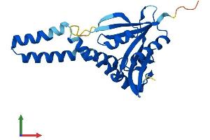 AlphaFold protein structure predicition of Mouse Recombinant Cml5 Protein, UniprotID Q9QXS8