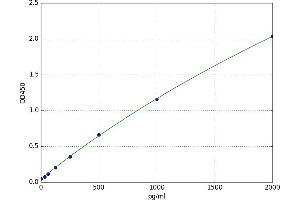 Tumor Protein P53 Binding Protein 1 (TP53BP1) ELISA Kit
