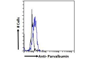 ABIN185412 Flow cytometric analysis of paraformaldehyde fixed Kelly cells (blue line), permeabilized with 0.