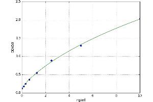 Keratin 17 (KRT17) ELISA Kit