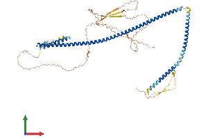 AlphaFold protein structure predicition of Human Recombinant POF1B Protein, UniprotID Q8WVV4