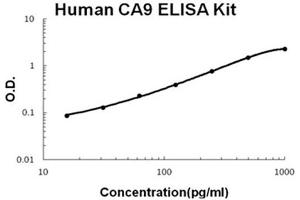 Human CA9 Accusignal ELISA Kit Human CA9 AccuSignal ELISA Kit standard curve. (CA9 Kit ELISA)