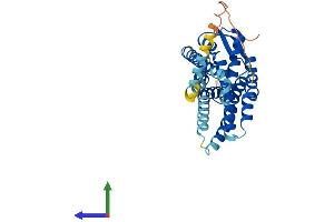 AlphaFold protein structure predicition of Human Recombinant CXCR4 Protein, UniprotID P61073