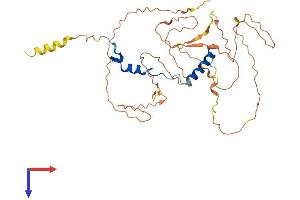 AlphaFold protein structure predicition of Human Recombinant NFYA Protein, UniprotID P23511