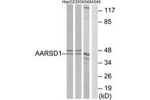 Western blot analysis of extracts from A549/293/HepG2 cells, using AARSD1 Antibody. (AARSD1 anticorps  (AA 141-190))