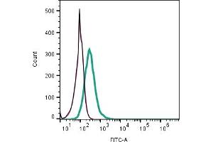 Cell surface detection of CD38 by indirect flow cytometry in live intact mouse J774 macrophage line: + goat-anti-rabbit-FITC. (CD38 anticorps  (Extracellular))