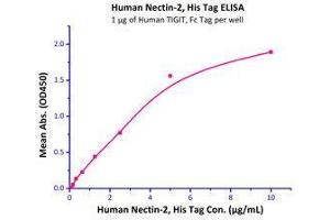 Immobilized Human TIGIT, Fc Tag (Cat# TIT-H5254) at 10 μg/mL (100 µl/well),can bind Human Nectin-2, His Tag (Cat# PV2-H52E2) with a linear range of 0. (PVRL2 Protein (AA 32-360) (His tag))