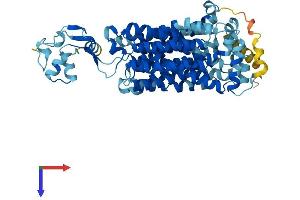 AlphaFold protein structure predicition of Mouse Recombinant Slc22a1 Protein, UniprotID O08966