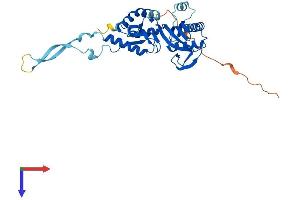 AlphaFold protein structure predicition of Human Recombinant TRUB2 Protein, UniprotID O95900