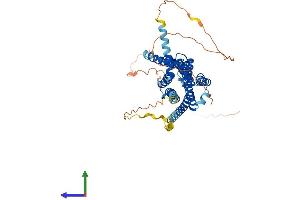AlphaFold protein structure predicition of Human Recombinant ADRB1 Protein, UniprotID P08588