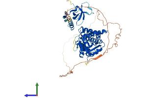AlphaFold protein structure predicition of Mouse Recombinant Glyr1 Protein, UniprotID Q922P9