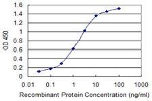 Detection limit for recombinant GST tagged RABGAP1L is 0. (RABGAP1L anticorps  (AA 1-110))