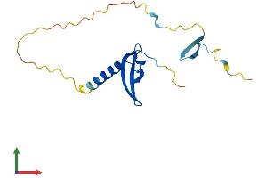 AlphaFold protein structure predicition of Mouse Recombinant Cbx7 Protein, UniprotID Q8VDS3