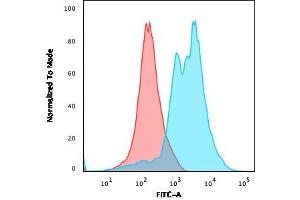 Flow Cytometric Analysis of PFA-fixed Jurkat cells. (ZAP70 anticorps  (AA 1-254))