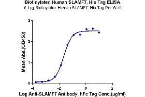 Immobilized Biotinylated Human SLAMF7, His Tag at 1 μg/mL (100 μL/well) on the plate.