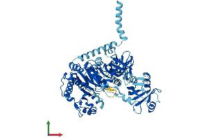 AlphaFold protein structure predicition of Mouse Recombinant Slc27a2 Protein, UniprotID O35488