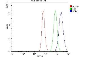 Flow Cytometry analysis of A549 cells using anti-GCLC antibody (ABIN3042420).