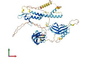 AlphaFold protein structure predicition of Human Recombinant SYTL3 Protein, UniprotID Q4VX76