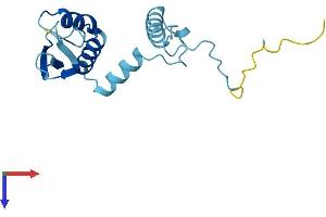 AlphaFold protein structure predicition of Human Recombinant CEP19 Protein, UniprotID Q96LK0