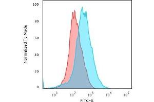 Flow Cytometric Analysis of paraformaldehyde-fixed Jurkat cells using CD31 Rabbit Recombinant Monoclonal Antibody (C31/2876R). (Recombinant CD31 anticorps)