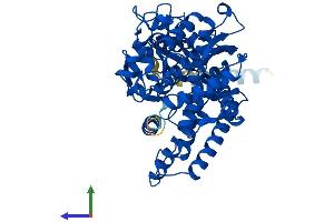 AlphaFold protein structure predicition of Human Recombinant CYP2B6 Protein, UniprotID P20813