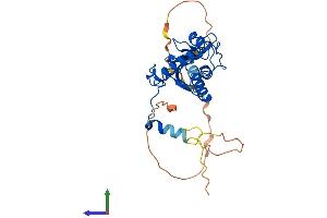 AlphaFold protein structure predicition of Mouse Recombinant Aktip Protein, UniprotID Q64362