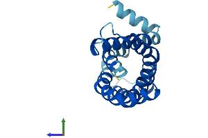 AlphaFold protein structure predicition of Human Recombinant MPV17 Protein, UniprotID P39210