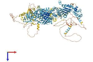 AlphaFold protein structure predicition of Human Recombinant PEX1 Protein, UniprotID O43933
