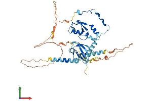 AlphaFold protein structure predicition of Mouse Recombinant Ring1 Protein, UniprotID O35730