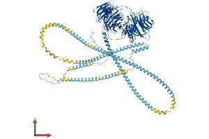AlphaFold protein structure predicition of Mouse Recombinant Cfap57 Protein, UniprotID Q9D180