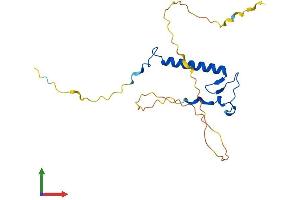 AlphaFold protein structure predicition of Mouse Recombinant Cdkn1b Protein, UniprotID P46414
