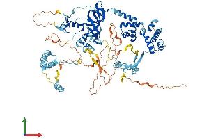 AlphaFold protein structure predicition of Mouse Recombinant Mta1 Protein, UniprotID Q8K4B0