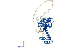 AlphaFold protein structure predicition of Mouse Recombinant Six6 Protein, UniprotID Q9QZ28