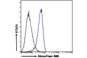 (ABIN185002) Flow cytometric analysis of paraformaldehyde fixed K562 cells (blue line), permeabilized with 0. (IFIH1 anticorps  (N-Term))