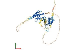 AlphaFold protein structure predicition of Human Recombinant ZCCHC12 Protein, UniprotID Q6PEW1