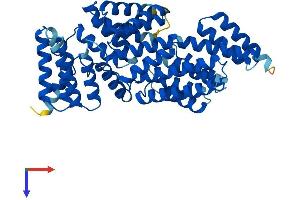 Interferon-Induced Protein with Tetratricopeptide Repeats 1B (IFIT1B) (AA 1-474) protein (His tag)